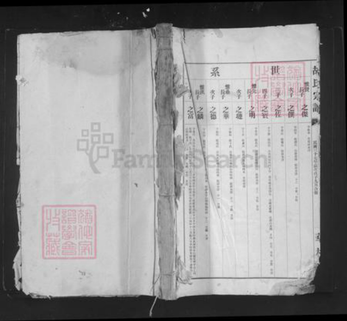 四川省广元市苍溪县白鹤乡胡氏华林堂族谱-胡氏宗谱.pdf电子版插图
