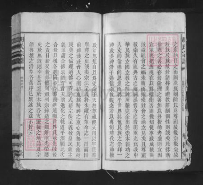 四川省广元市苍溪县白鹤乡胡氏华林堂族谱-胡氏宗谱.pdf电子版插图4
