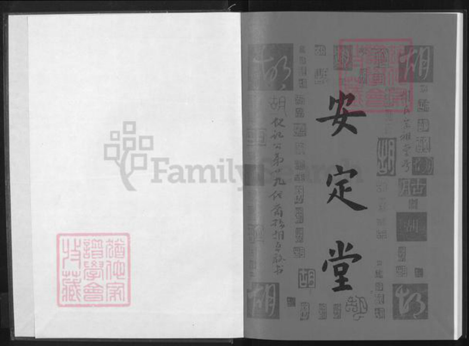 湖北省咸宁市通城县胡氏安定堂族谱-胡氏宗谱.pdf电子版插图1