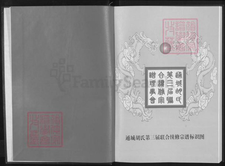 湖北省咸宁市通城县胡氏安定堂族谱-胡氏宗谱.pdf电子版插图2