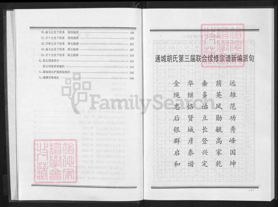 湖北省咸宁市通城县胡氏安定堂族谱-胡氏宗谱.pdf电子版插图5