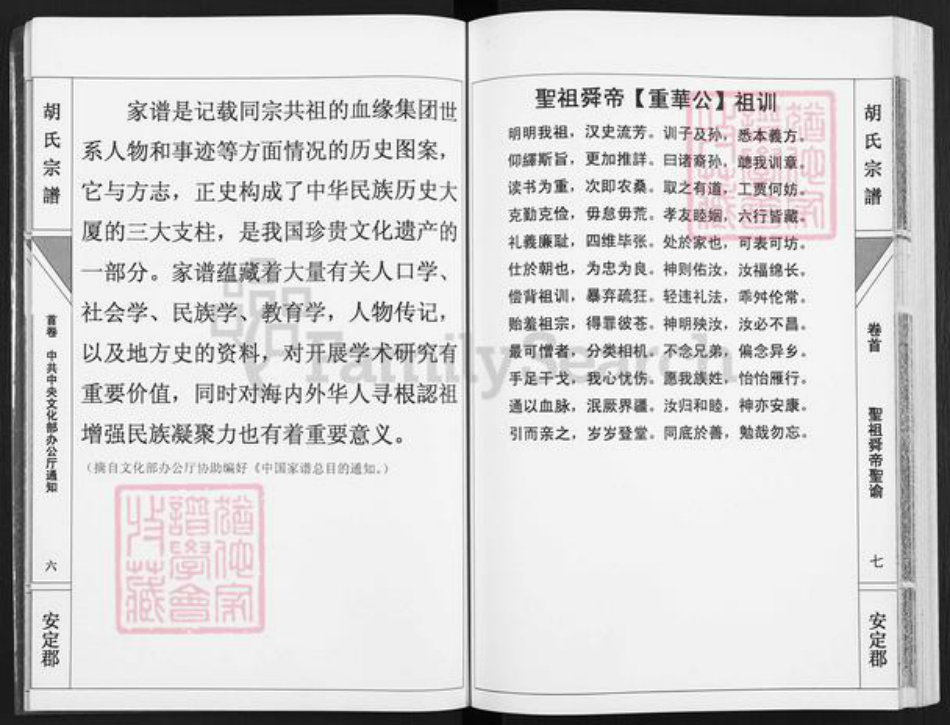 湖南省永州市道县梅花镇胡氏安定堂族谱-胡氏宗谱.pdf电子版插图5