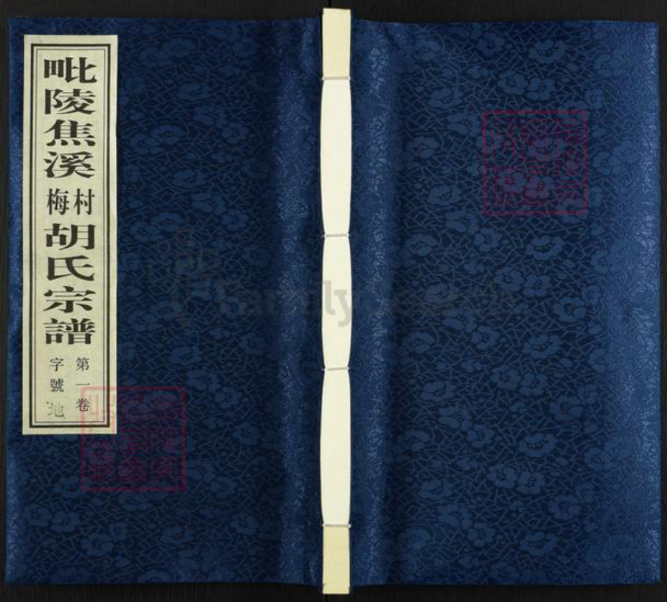 江苏省常州市武进县焦溪镇胡氏传麟堂族谱-毗陵焦溪梅村胡氏宗谱.pdf电子版插图