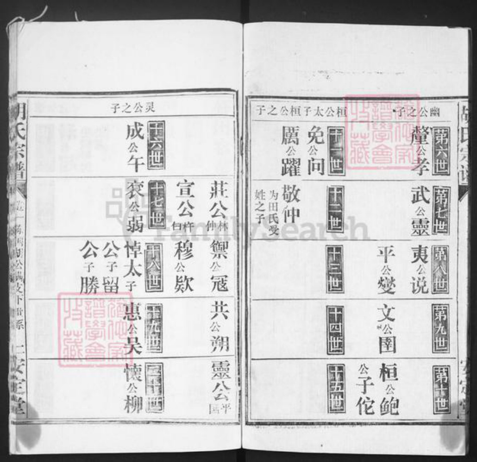 湖北省黄冈市红安县胡氏安定堂族谱-胡氏宗谱.pdf电子版插图2