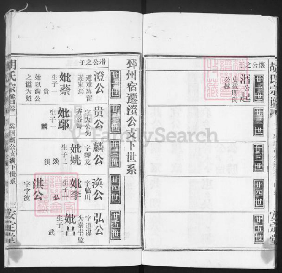 湖北省黄冈市红安县胡氏安定堂族谱-胡氏宗谱.pdf电子版插图3