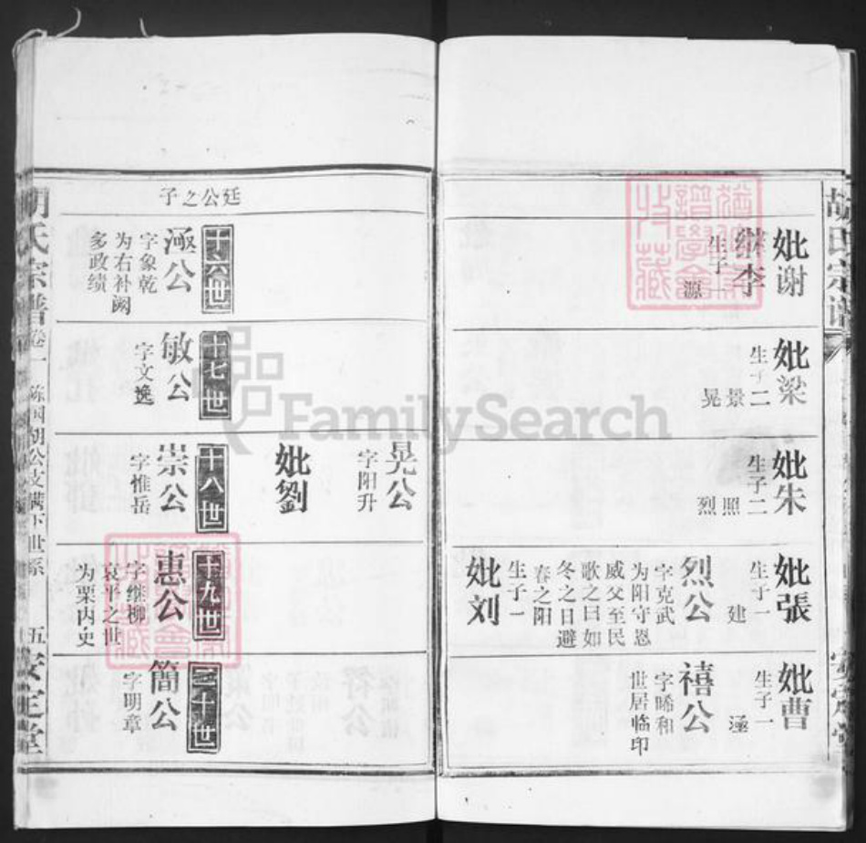 湖北省黄冈市红安县胡氏安定堂族谱-胡氏宗谱.pdf电子版插图5