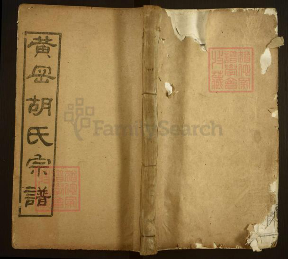 湖北省武汉市新洲区胡氏经义堂族谱-黄冈胡氏宗谱.pdf电子版插图