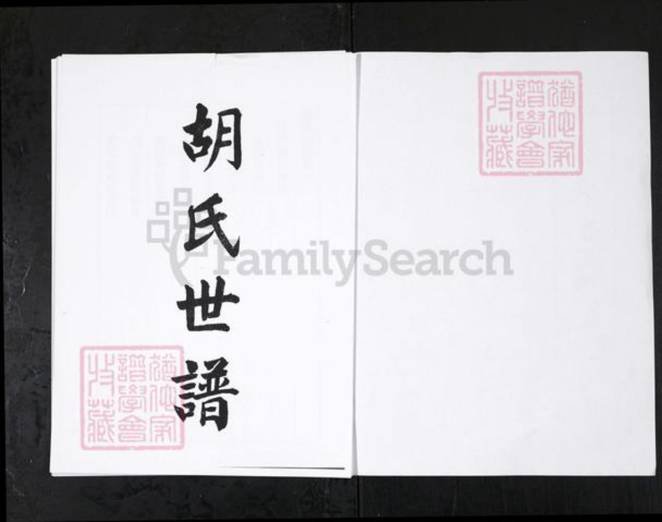 山东省淄博市桓台县胡氏族谱-桓台胡氏世谱 [3卷].pdf电子版插图1