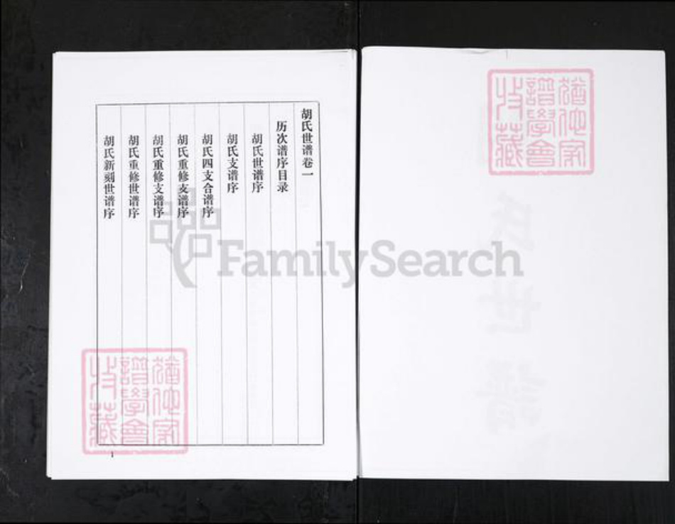 山东省淄博市桓台县胡氏族谱-桓台胡氏世谱 [3卷].pdf电子版插图2