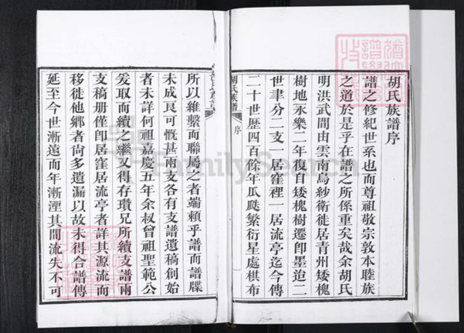 山东省青岛市胡氏族谱-即墨胡氏族谱.pdf电子版插图5