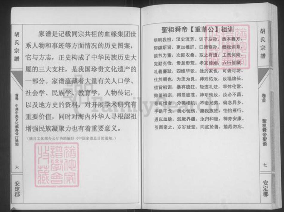 湖南省永州市道县梅花镇胡氏安定堂族谱-胡氏宗谱.pdf电子版插图5