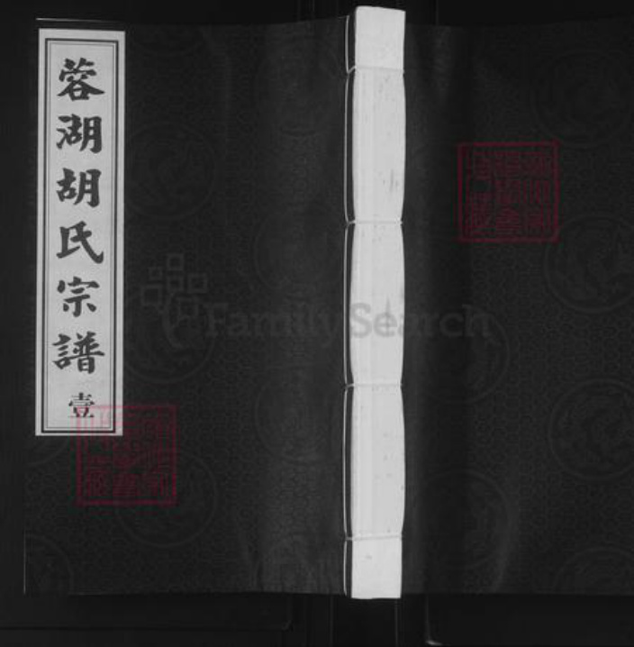 江苏省常州市武进县胡氏经义堂族谱-蓉湖胡氏宗谱.pdf电子版插图