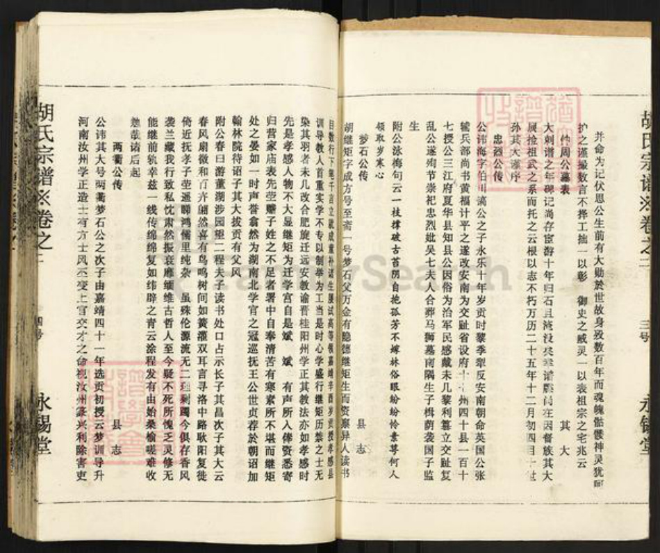 四川省眉山市东坡区胡氏永锡堂族谱-胡氏宗谱.pdf电子版插图4