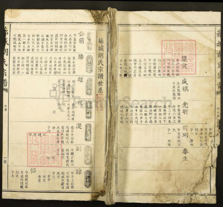 江西省吉安市青原区值夏镇胡氏族谱-芗城胡氏宗谱.pdf电子版插图