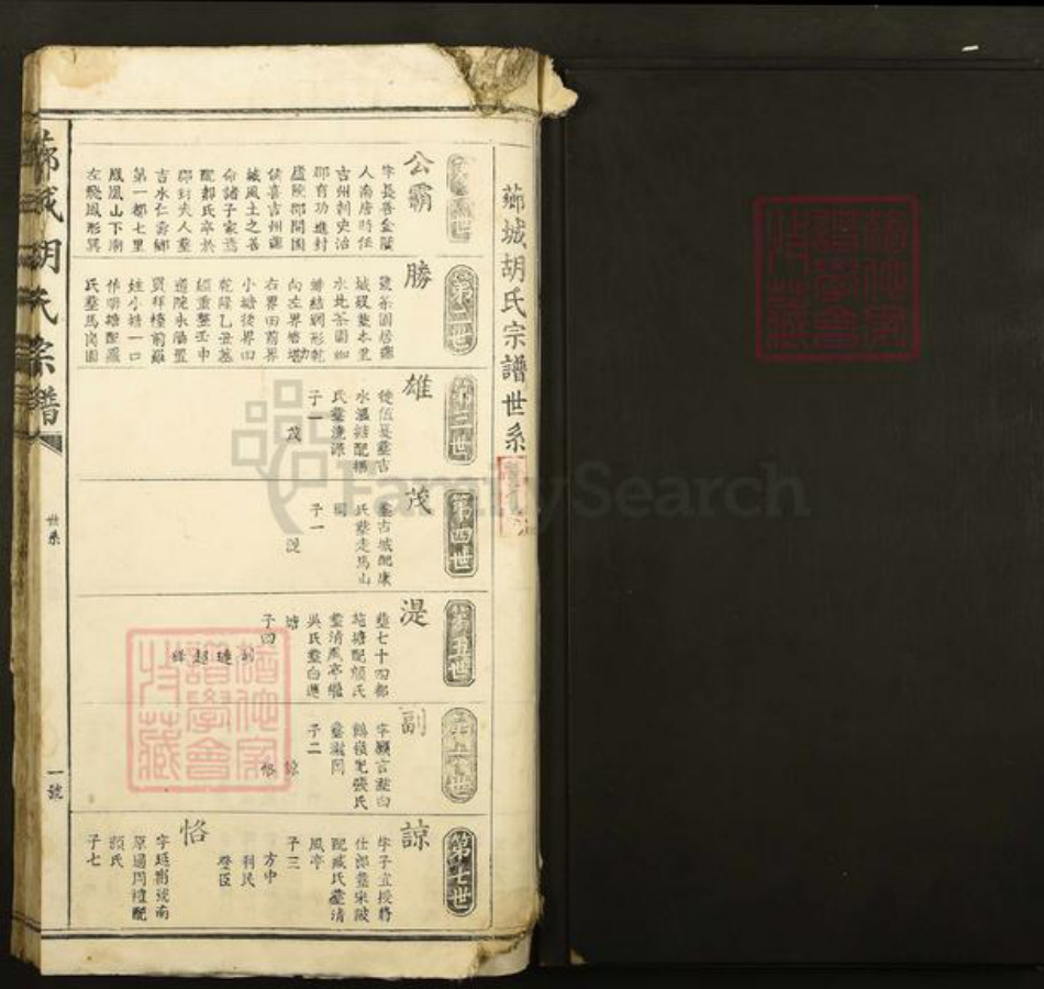江西省吉安市青原区值夏镇胡氏族谱-芗城胡氏宗谱.pdf电子版插图1
