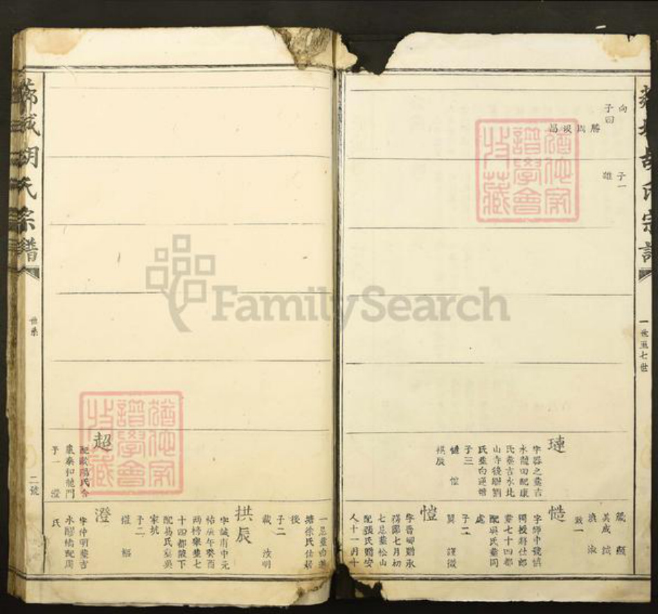 江西省吉安市青原区值夏镇胡氏族谱-芗城胡氏宗谱.pdf电子版插图2