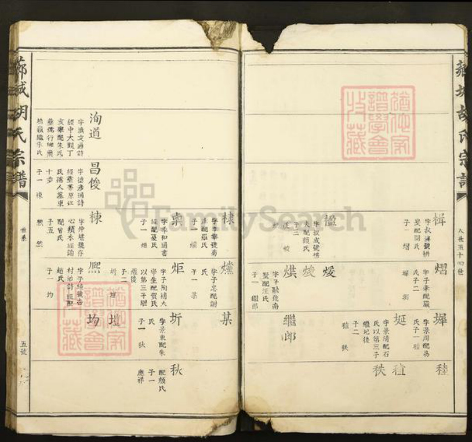 江西省吉安市青原区值夏镇胡氏族谱-芗城胡氏宗谱.pdf电子版插图5