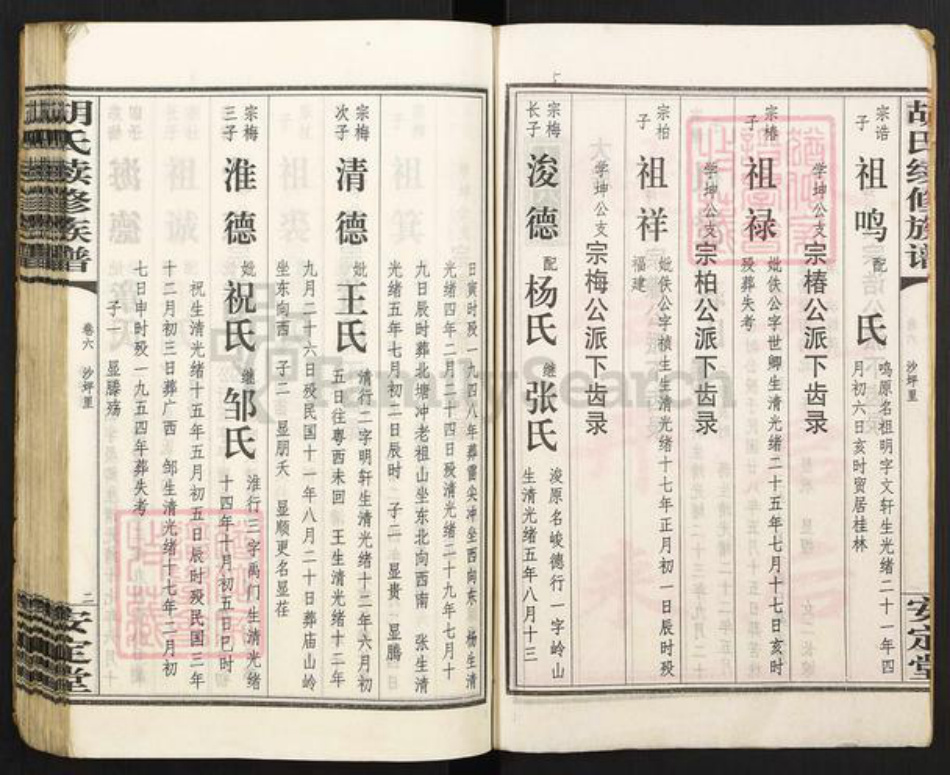 湖南省永州市零陵区胡氏安定堂族谱-零陵邮亭墟胡氏族谱.pdf电子版插图3