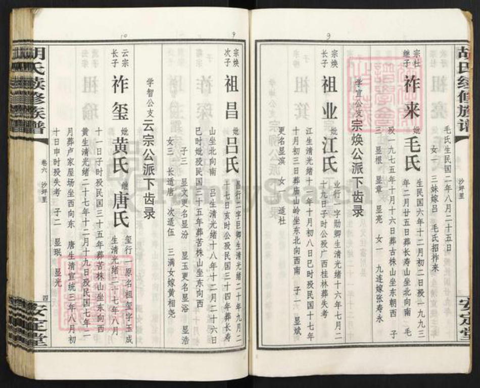 湖南省永州市零陵区胡氏安定堂族谱-零陵邮亭墟胡氏族谱.pdf电子版插图5