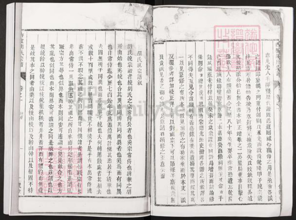 浙江省杭州市淳安县县梓桐镇胡氏仁亲堂族谱-杏坡胡氏宗谱.pdf电子版插图4