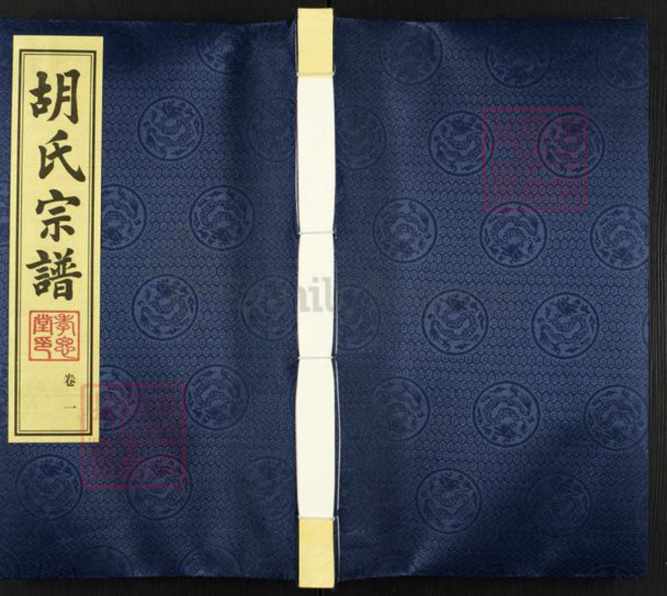 江苏省常州市金坛区儒林镇胡氏孝思堂族谱-胡氏宗谱.pdf电子版插图