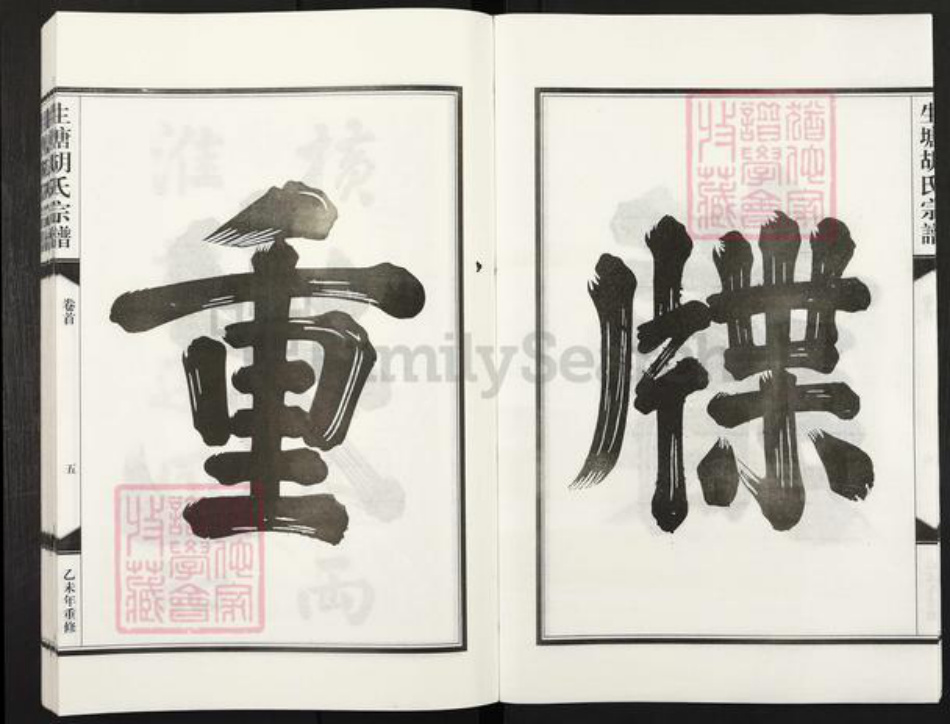 浙江省金华市兰溪市水亭畬族乡胡氏族谱-生塘胡氏宗谱.pdf电子版插图5