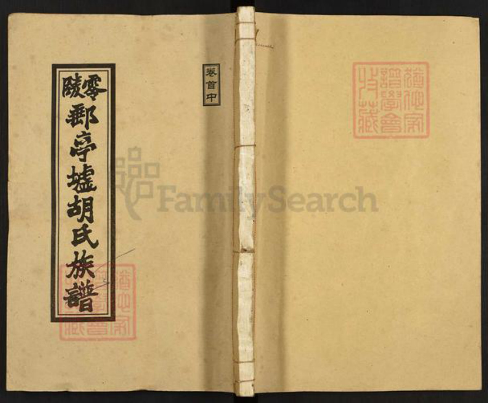 湖南省永州市零陵区胡氏安定堂族谱-零陵邮亭墟胡氏族谱.pdf电子版插图