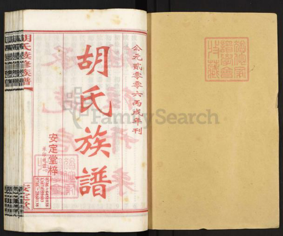 湖南省永州市零陵区胡氏安定堂族谱-零陵邮亭墟胡氏族谱.pdf电子版插图1