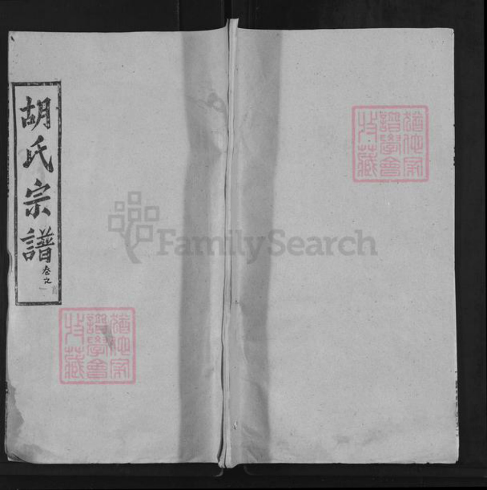 湖北省武汉市新洲区胡氏安定堂族谱-胡氏宗谱.pdf电子版插图