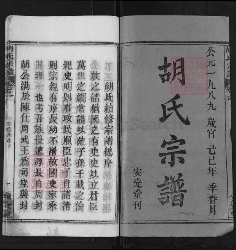 湖北省武汉市新洲区胡氏安定堂族谱-胡氏宗谱.pdf电子版插图1