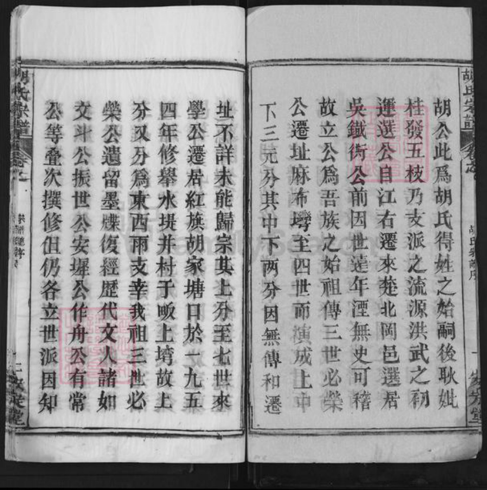 湖北省武汉市新洲区胡氏安定堂族谱-胡氏宗谱.pdf电子版插图2
