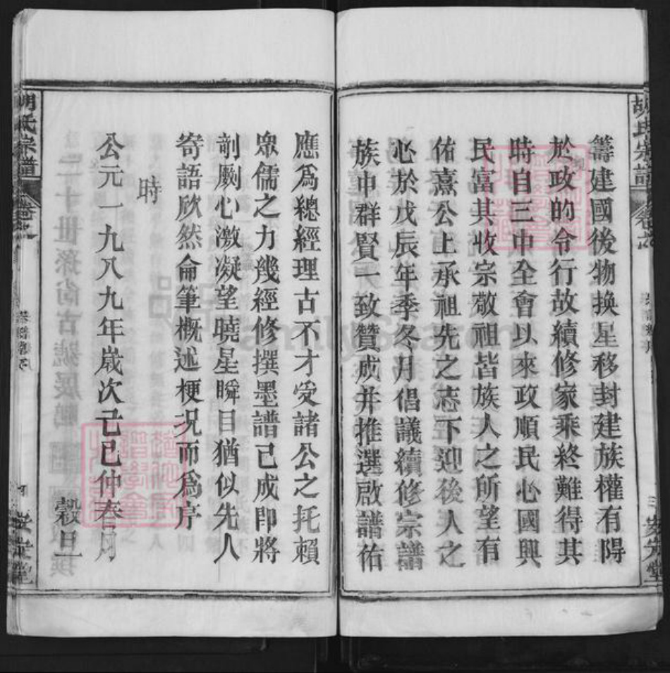 湖北省武汉市新洲区胡氏安定堂族谱-胡氏宗谱.pdf电子版插图4