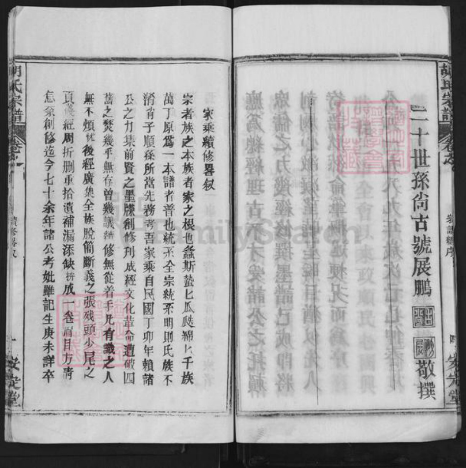 湖北省武汉市新洲区胡氏安定堂族谱-胡氏宗谱.pdf电子版插图5