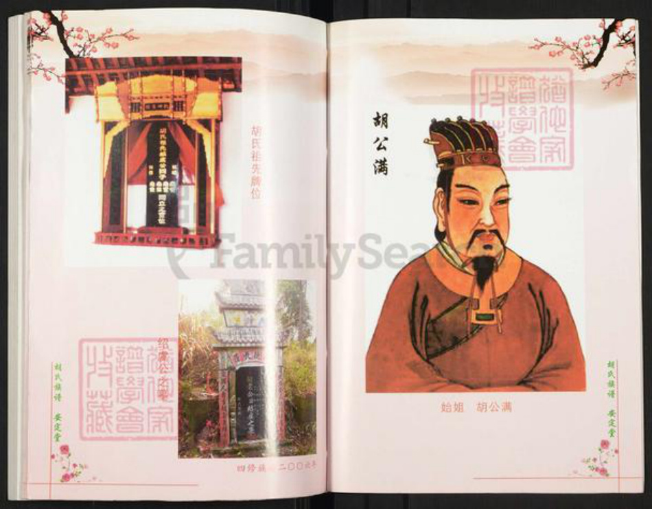 湖南省常德市桃源县九溪镇胡氏安定堂族谱-胡氏四修族谱(再版).pdf电子版插图3