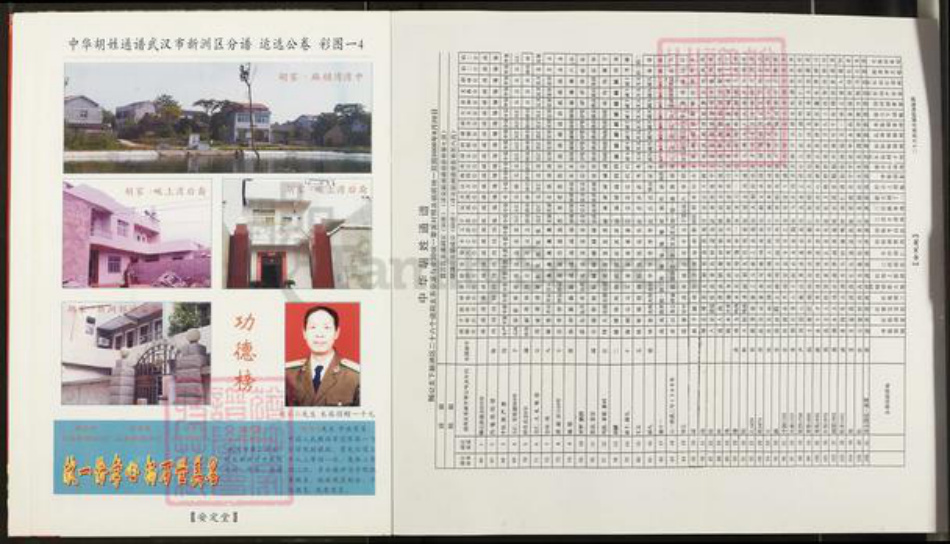 湖北省武汉市新洲区胡氏安定堂族谱-中华胡姓通谱.武汉市新洲区分谱.pdf电子版插图4