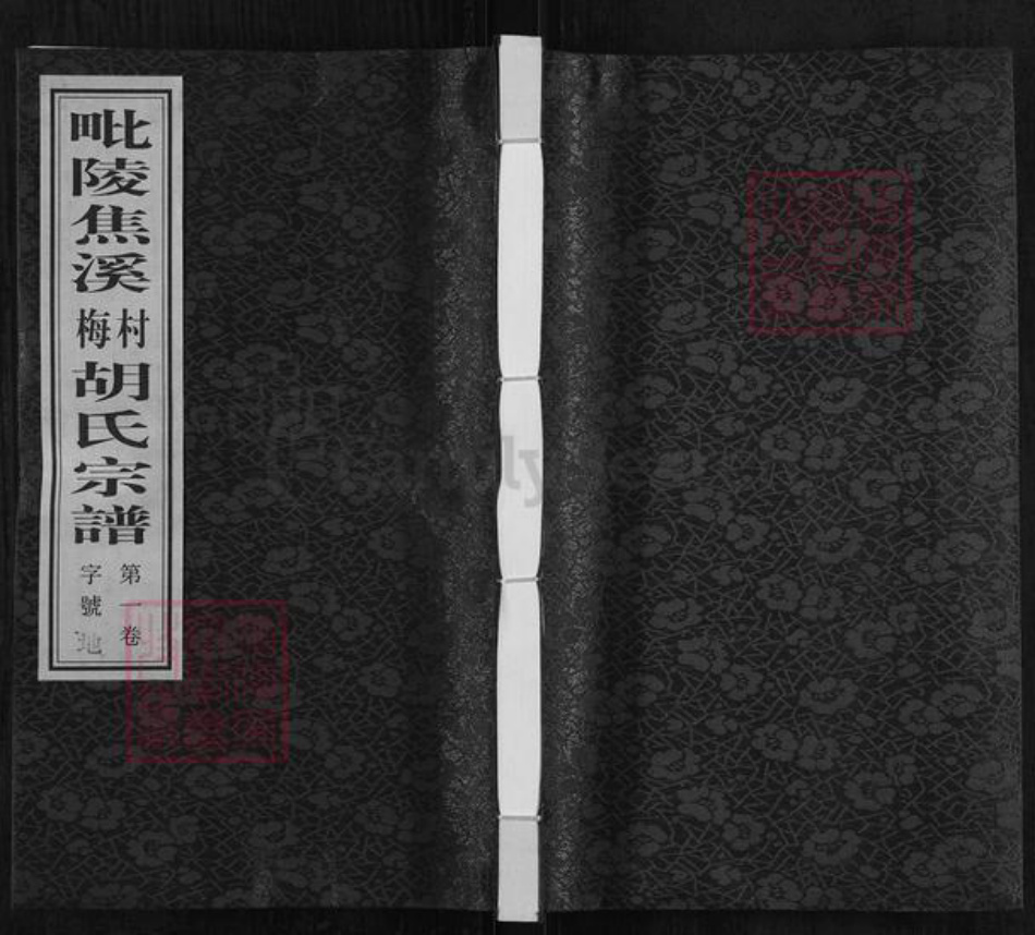 江苏省常州市天宁区郑陆镇胡氏传麟堂族谱-毗陵焦溪梅村胡氏宗谱.pdf电子版插图