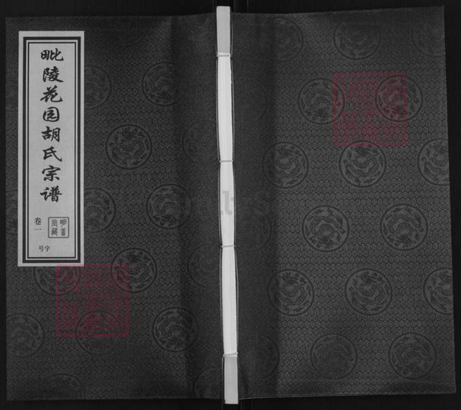 江苏省常州市武进县胡氏明善堂族谱-毗陵花园胡氏宗谱.pdf电子版插图