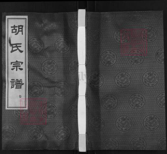 江苏省常州市武进县胡氏乐善堂族谱-胡氏宗谱.pdf电子版插图