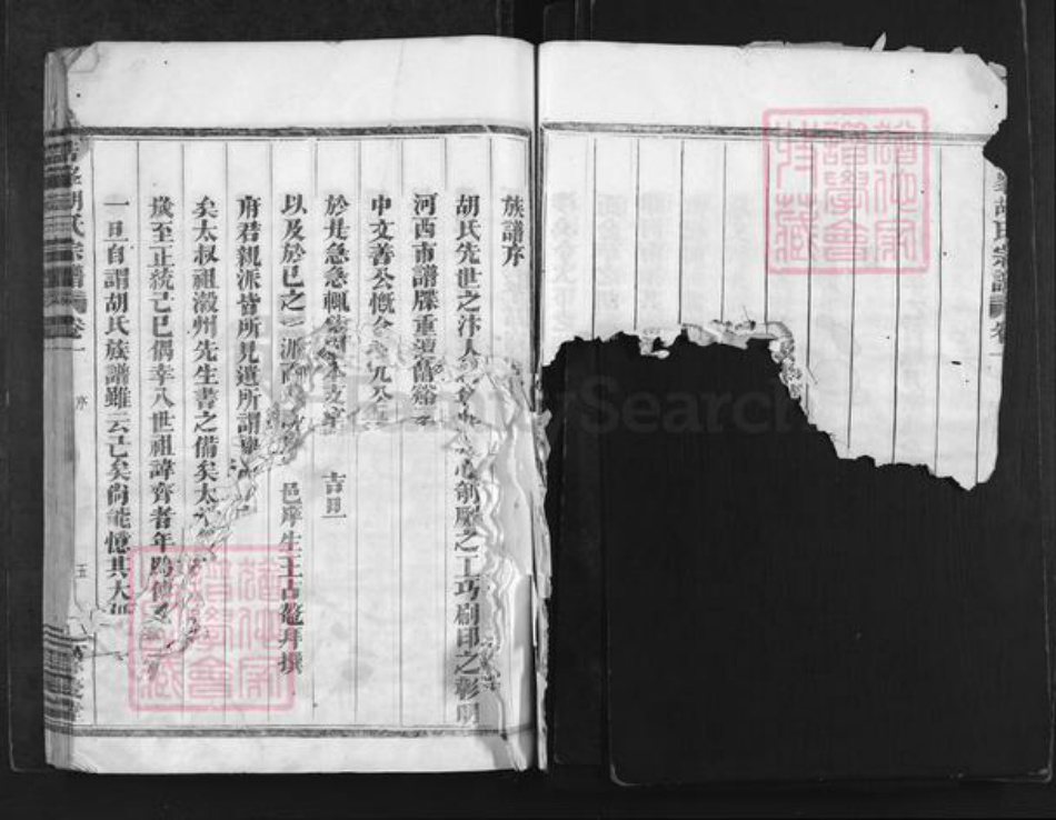 浙江省金华市兰溪市赤溪街道胡氏余庆堂族谱-浩峰胡氏宗谱.pdf电子版插图5