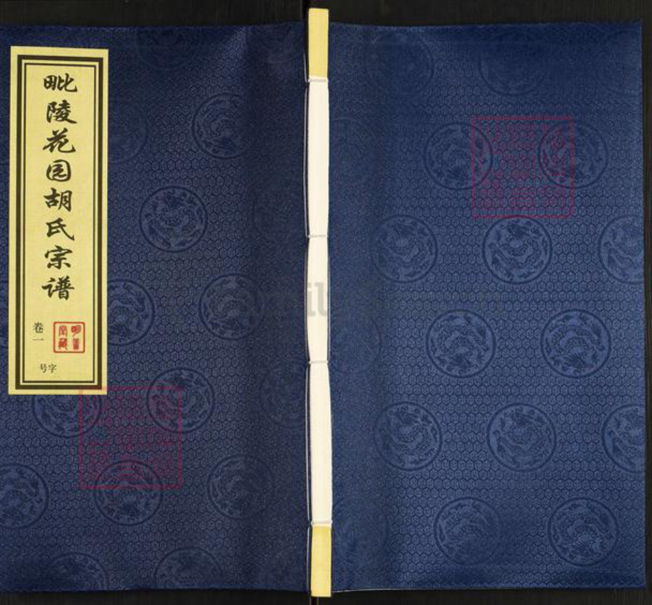 江苏省常州市武进县胡氏明善堂族谱-毗陵花园胡氏宗谱.pdf电子版插图