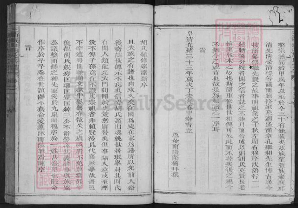浙江省衢州胡氏德滋堂族谱-三衢珉山胡氏宗谱.pdf电子版插图2