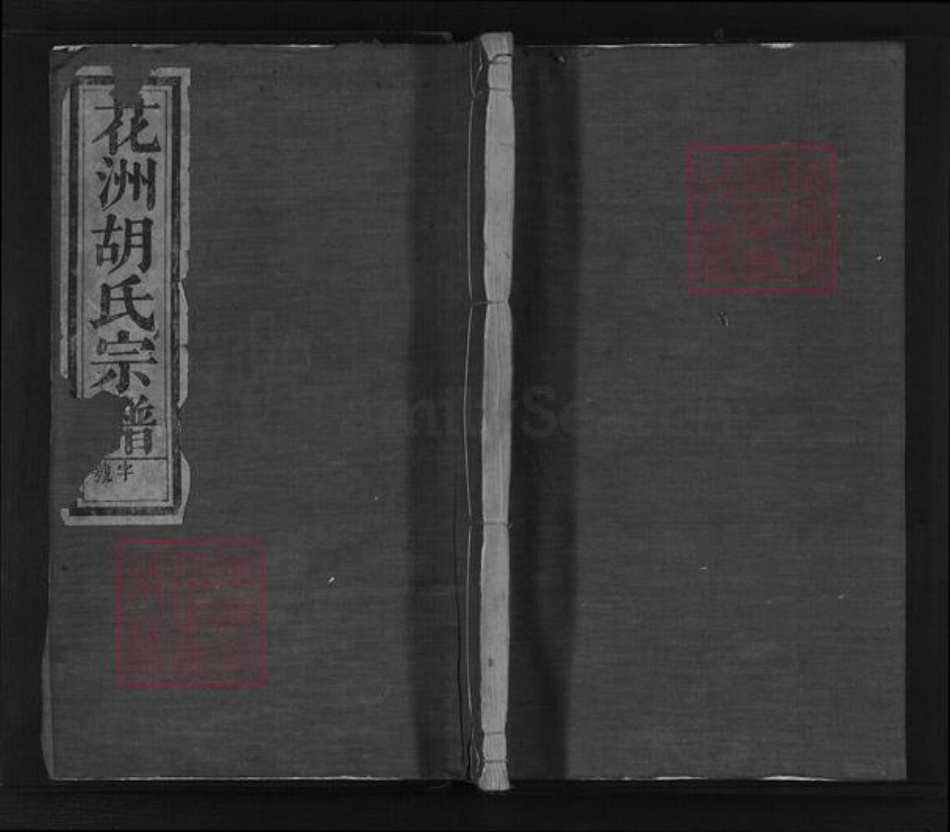 安徽省芜湖市南陵县胡氏惠宗堂族谱-花洲胡氏宗谱.pdf电子版插图