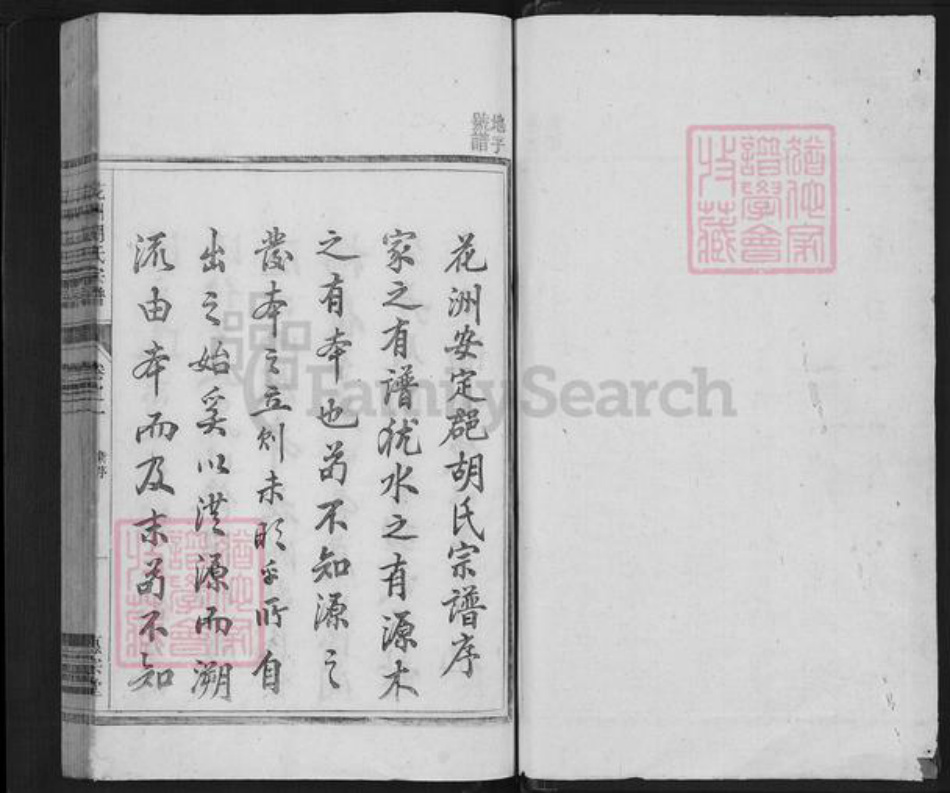 安徽省芜湖市南陵县胡氏惠宗堂族谱-花洲胡氏宗谱.pdf电子版插图1