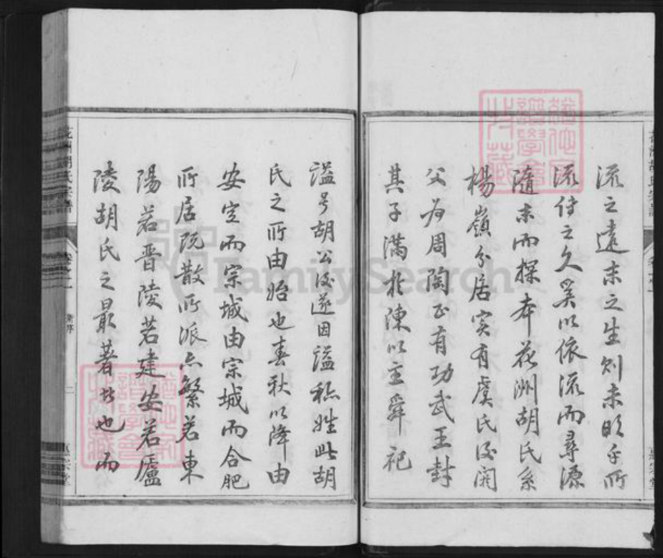 安徽省芜湖市南陵县胡氏惠宗堂族谱-花洲胡氏宗谱.pdf电子版插图2