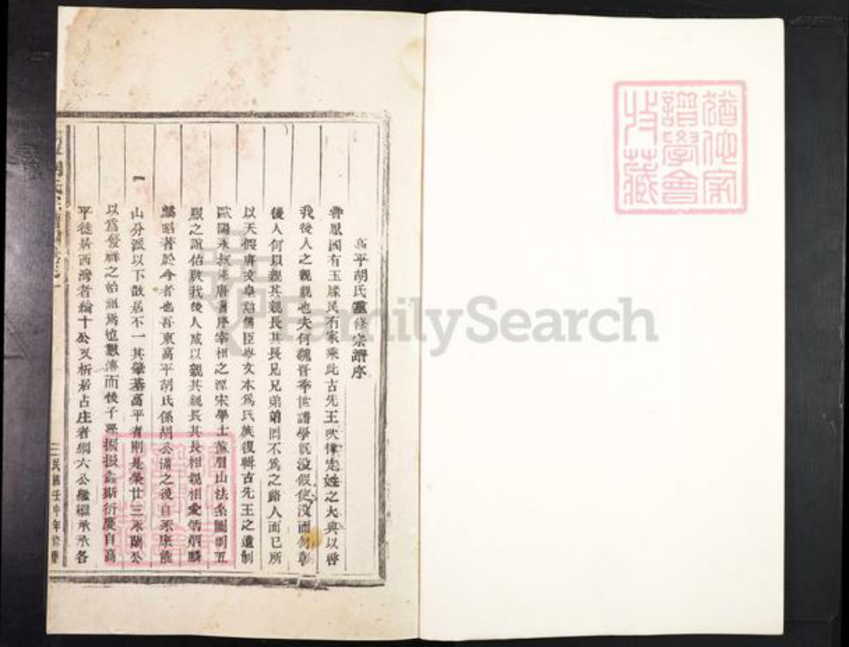 浙江省金华市东阳市胡氏族谱-高平胡氏宗谱.pdf电子版插图1