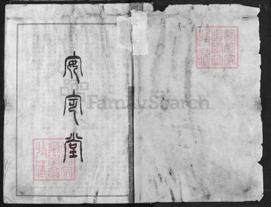 江西省宜春市奉新县胡氏族谱-胡氏宗谱.pdf电子版插图1
