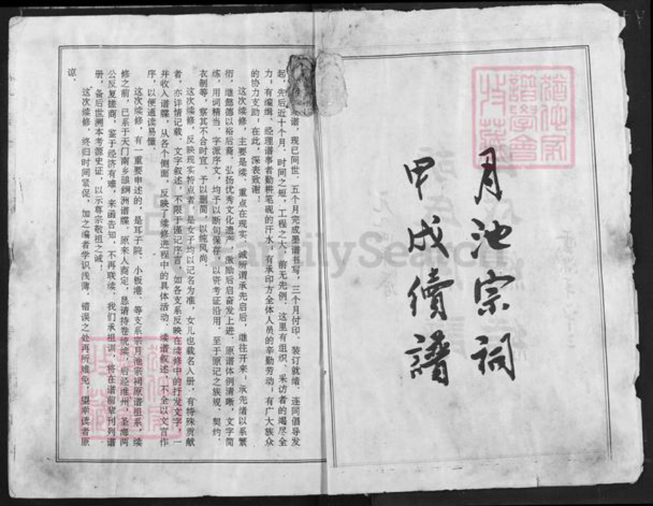 江西省宜春市奉新县胡氏族谱-胡氏宗谱.pdf电子版插图3