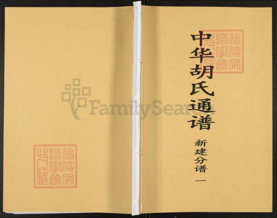 江西省南昌市新建区西山镇胡氏联谊堂族谱-中华胡氏通谱.新建分谱.pdf电子版插图
