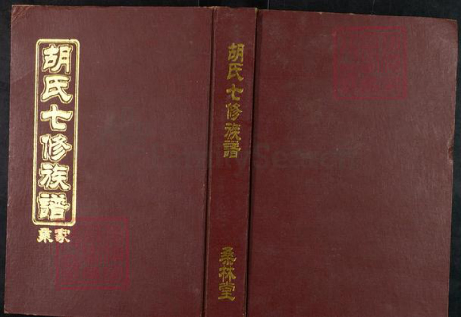 湖南省湘潭市湘乡市虞塘镇胡氏桑林堂族谱-桑林胡氏七修族谱.pdf电子版插图