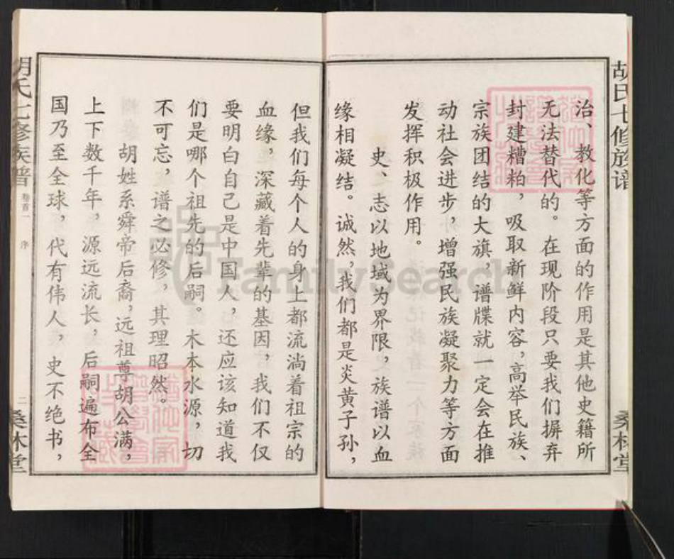 湖南省湘潭市湘乡市虞塘镇胡氏桑林堂族谱-桑林胡氏七修族谱.pdf电子版插图4
